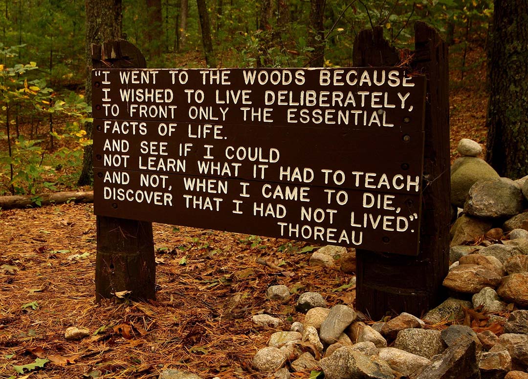 Thoreaus quote